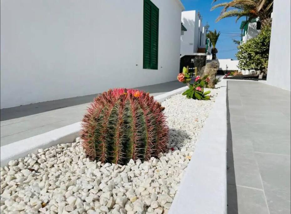 Appartement Refugio Del Caracol à Puerto del Carmen  Extérieur photo