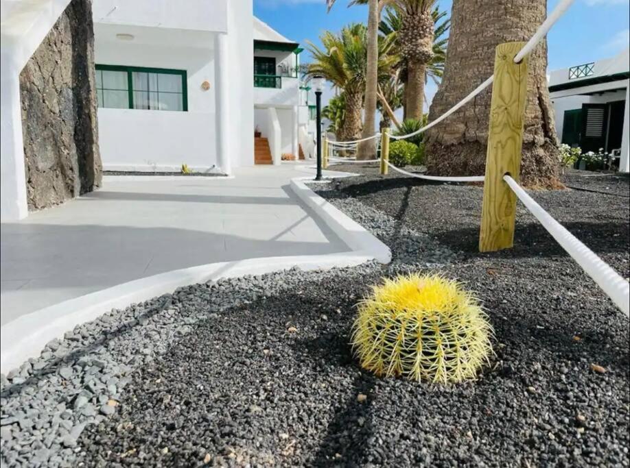 Appartement Refugio Del Caracol à Puerto del Carmen  Extérieur photo